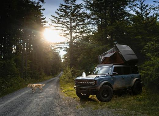 The Ultimate Guide to Buying a Used Boat